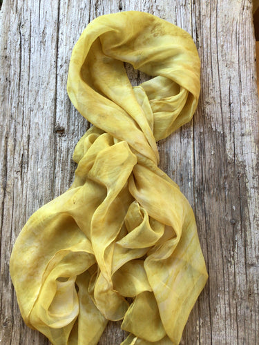 Golden Silk Chiffon Scarf