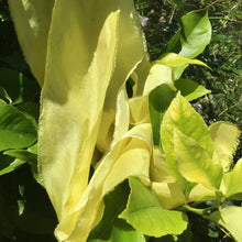 Load image into Gallery viewer, Lemon Yellow Silk Ribbons ~ 2 shades