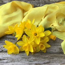 Load image into Gallery viewer, Daffodil Yellow Silk Ribbons