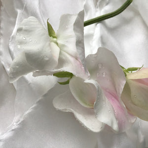 White Silk Chiffon Ribbons