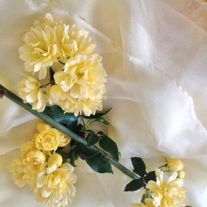 Primrose Yellow Silk Ribbons