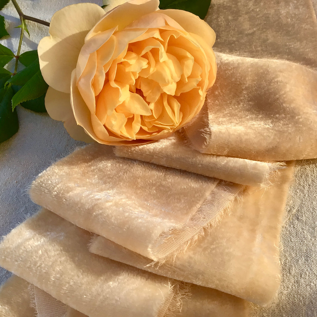 Champagne Silk Velvet Ribbon